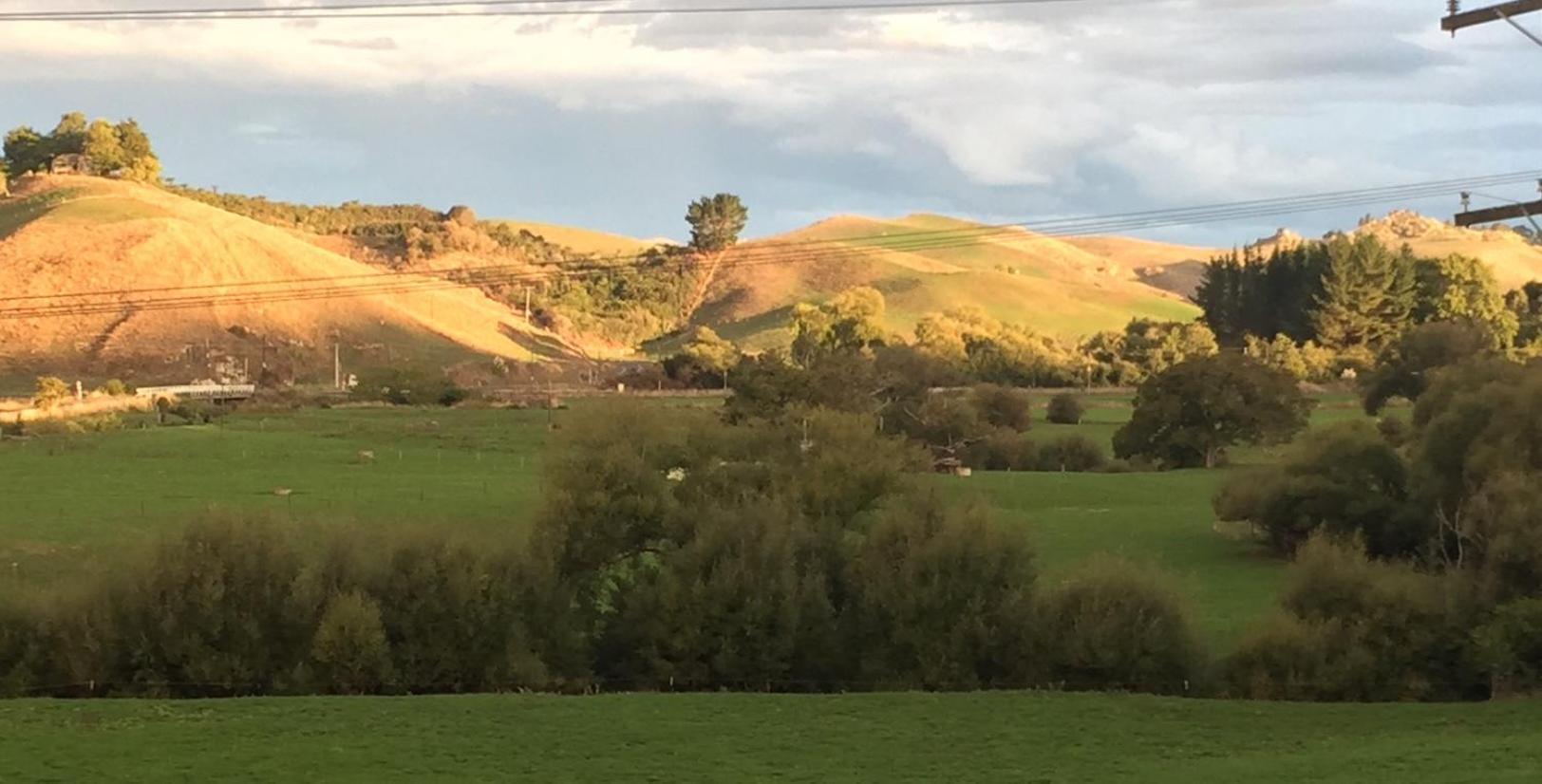 เคฟมอเตอร์อินน์ Te Kuiti ภายนอก รูปภาพ